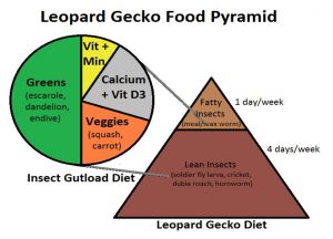 best food for leopard geckos