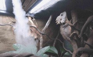best humidifier for reptile room