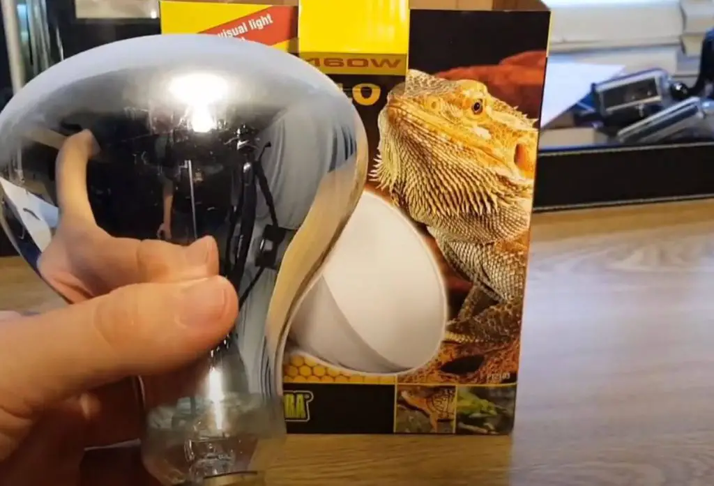 best uvb bulb for reptiles