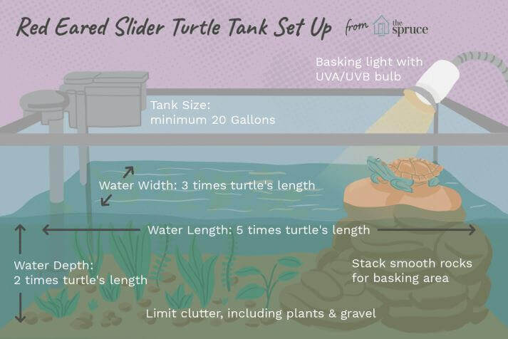 Best Turtle Tank Substrate