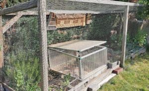 Best Tortoise Enclosure in 2023 - Complete Guide (TOP 7)