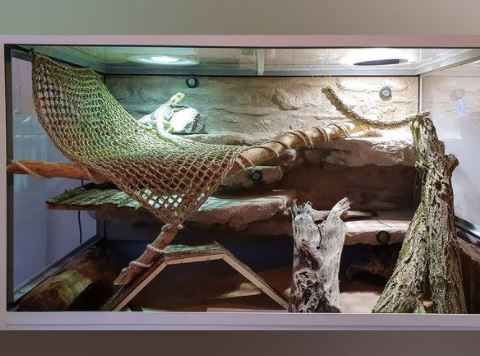 Bearded Dragon Cage Set For Sale