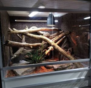 How To Turn An Aquarium Into a Reptile Terrarium