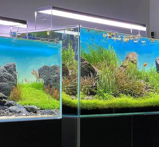 can a fish tank be used for reptiles