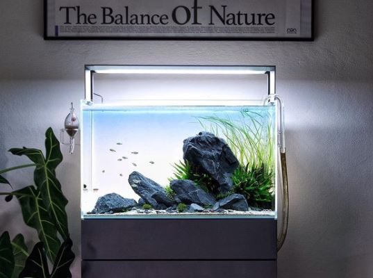can you turn a fish tank into a reptile tank, how to turn an aquarium into a reptile terrarium