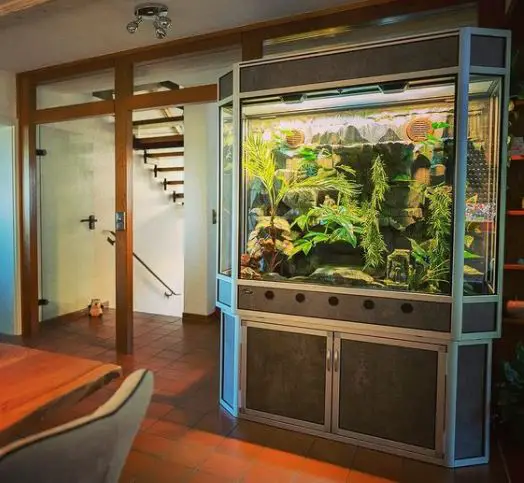 can you turn a fish tank into a vivarium, how to turn an aquarium into a reptile terrarium