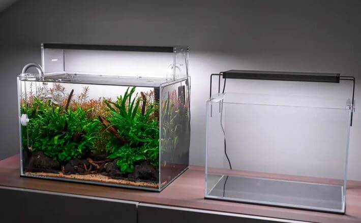 can you use a reptile light for fish