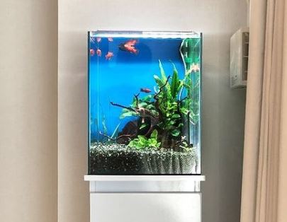 how to convert a fish tank into a reptile tank