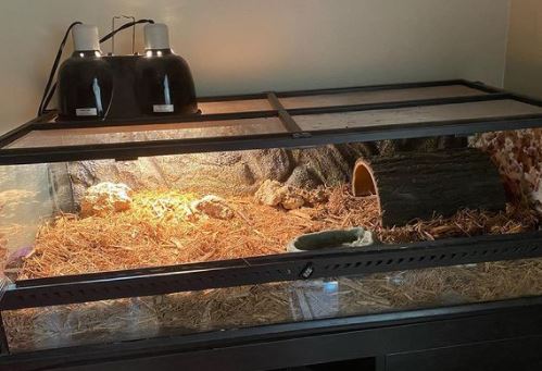 how to raise humidity in reptile tank